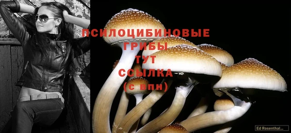 каннабис Абдулино