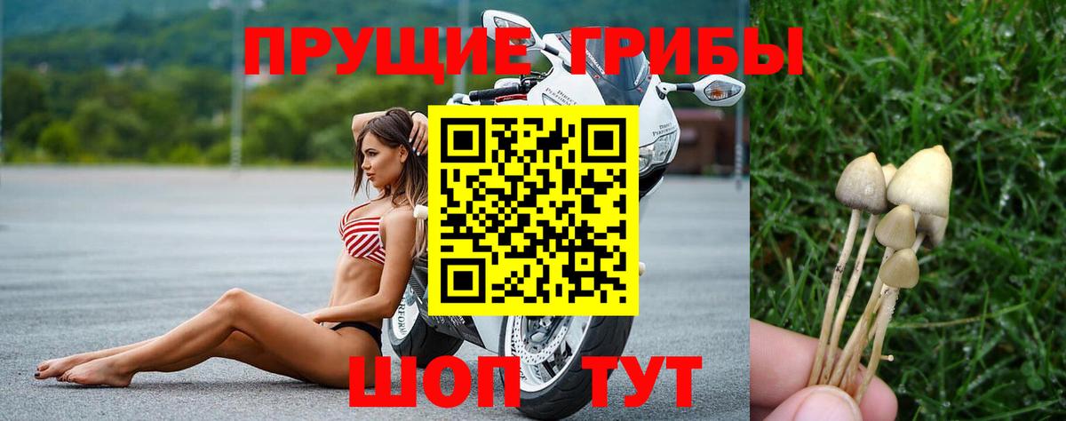 Нижневартовск  Галлюциногенные грибы Psilocybine cubensis  как найти закладки  Вход с VPN 
